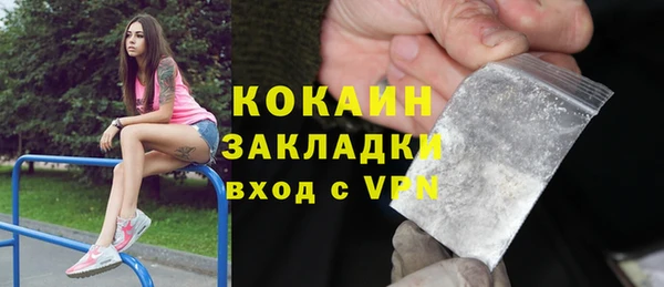 стаф Алексин