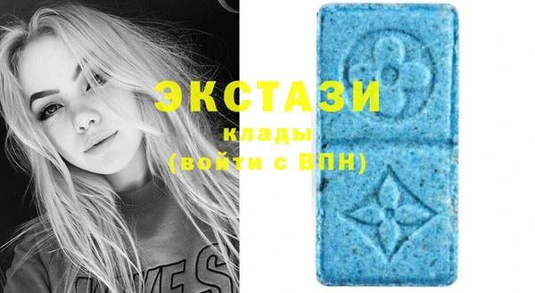 стаф Алексин