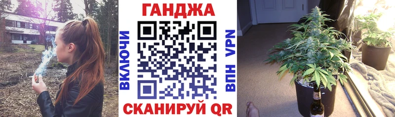 Бошки Шишки планчик  Микунь 